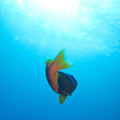 P9040086.jpg