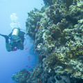 P9040551.jpg