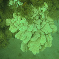 IMG_1180.jpg