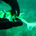IMG_1185.jpg