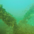 IMG_1207.jpg