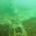 IMG_1213.jpg