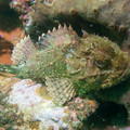 IMG_1972.jpg
