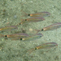 IMG_2072.jpg