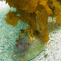 IMG_2086.jpg