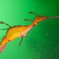 IMG_2117.jpg