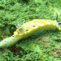 IMG_2125.jpg