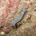 IMG_2141.jpg