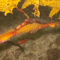 IMG_2145.jpg