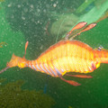 IMG_2152.jpg