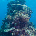 IMG_4431.jpg