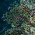 IMG_4462.jpg