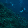 IMG_4479.jpg