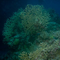 IMG_4487.jpg