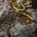 IMG_4491.jpg