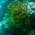 IMG_4499.jpg