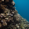 IMG_4540.jpg