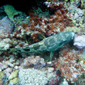 IMG_4542.jpg