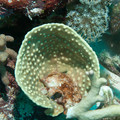 IMG_4578.jpg