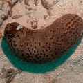 IMG_4602.jpg
