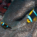 IMG_4612.jpg