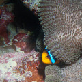 IMG_4613.jpg