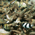 IMG_4627.jpg