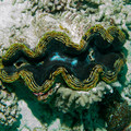 IMG_4634.jpg