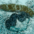 IMG_4637.jpg