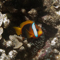 IMG_4645.jpg
