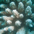 IMG_4653.jpg