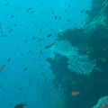 IMG_4675.jpg
