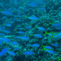 IMG_4677.jpg