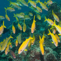 IMG_4685.jpg