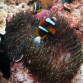 IMG_4687.jpg