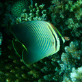 IMG_4702.jpg