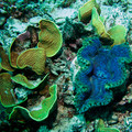 IMG_4710.jpg