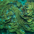 IMG_4713.jpg