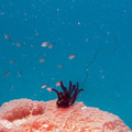 IMG_4720.jpg