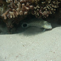 IMG_4753.jpg