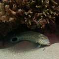 IMG_4754.jpg