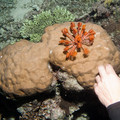 IMG_4768.jpg