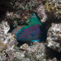 IMG_4770.jpg