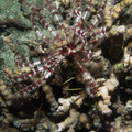 IMG_4773.jpg
