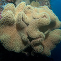 IMG_4786.jpg