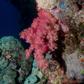IMG_4787.jpg