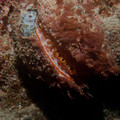 IMG_4789.jpg