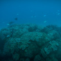 IMG_4813.jpg