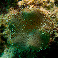 IMG_4833.jpg