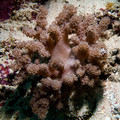 IMG_4836.jpg